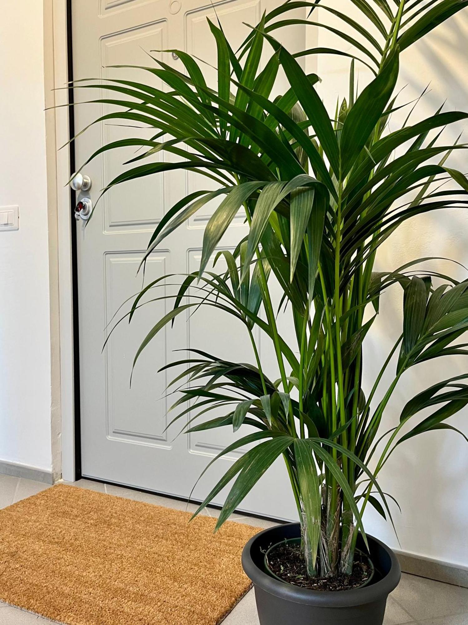 San Martino Holiday Apartments Nizza Monferrato Εξωτερικό φωτογραφία